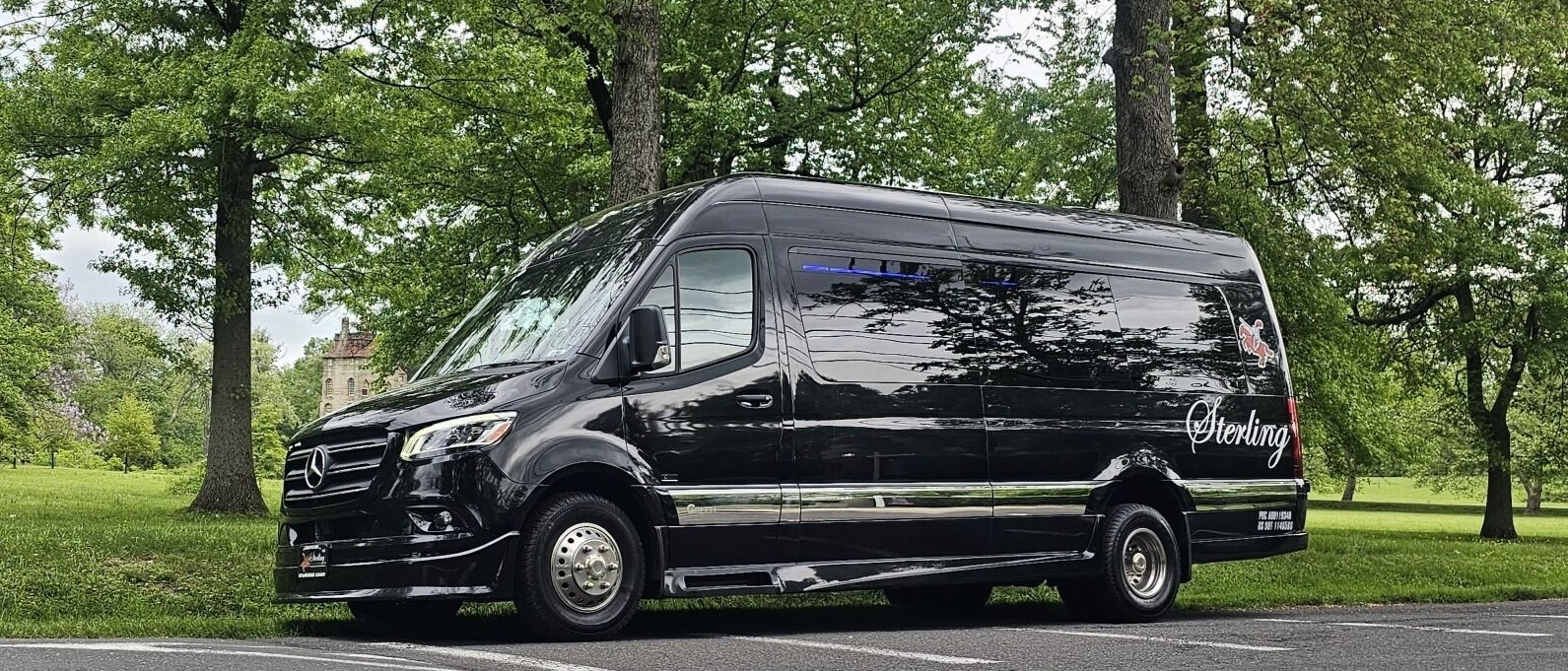 Executive Sprinter Limo in a Park