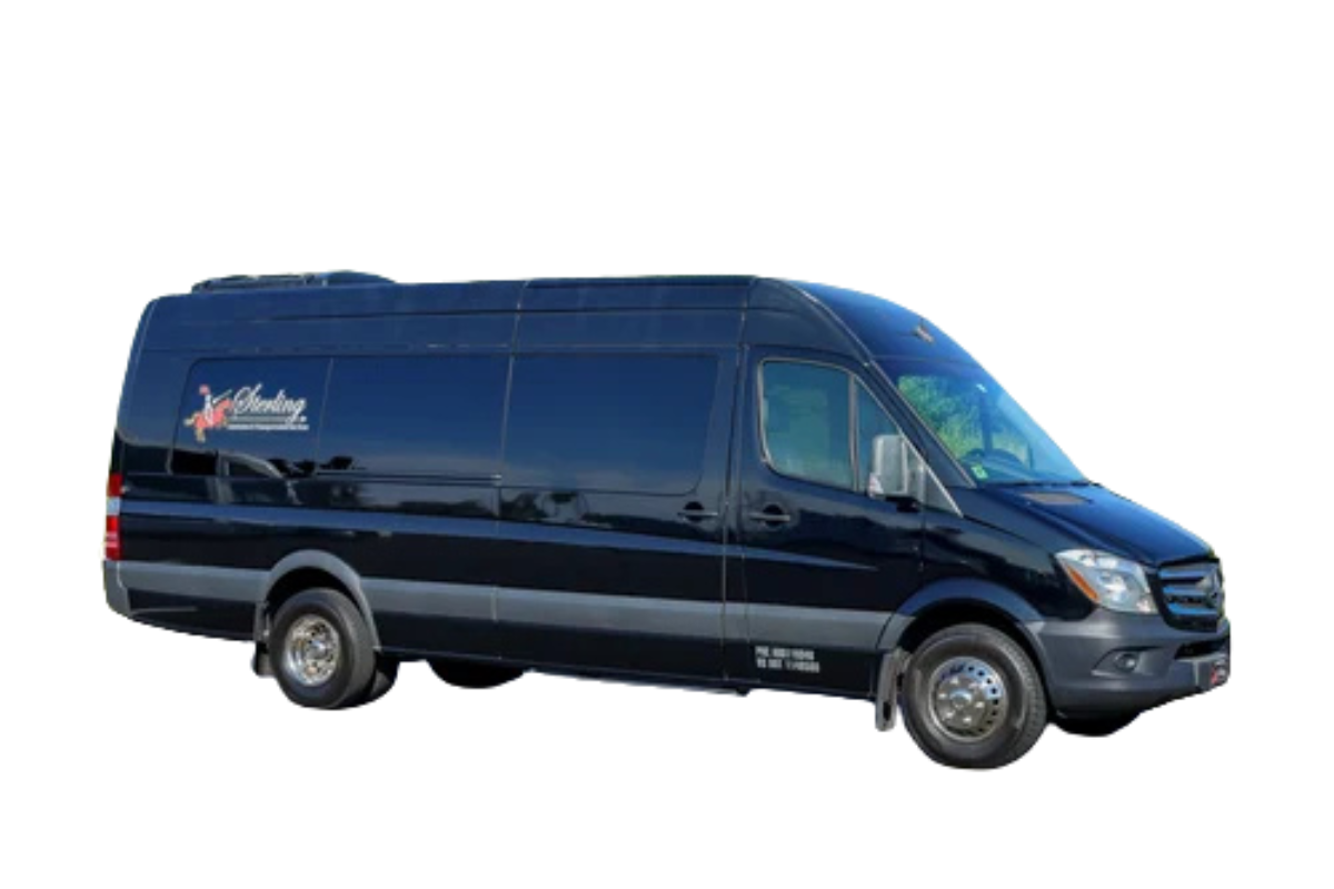 TEST IMAGE SIZE - 13 passenger executive sprinter