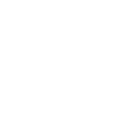 Wedding wire Reviews