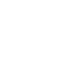 Wedding Wire Reviews Logo